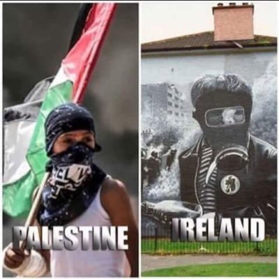 erkan ☪️🇹🇷🇮🇪🏴󠁧󠁢󠁳󠁣󠁴󠁿🇪🇸🇿🇦🇵🇸🍉's profile picture