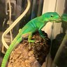 Фото профиля ぐり