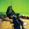 Profilbild von Seeker of Truth