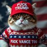 RayRayS 🖖🐸🦄🐯🦋❄️🗽⚖️☮️ ☔️🎸😎🌺💞Cats&Dogs TX's profile picture