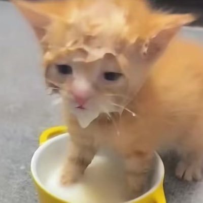 diudiudiuxi's profile picture