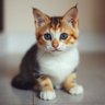 Фото профиля YULO