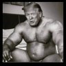 don trump's profile picture