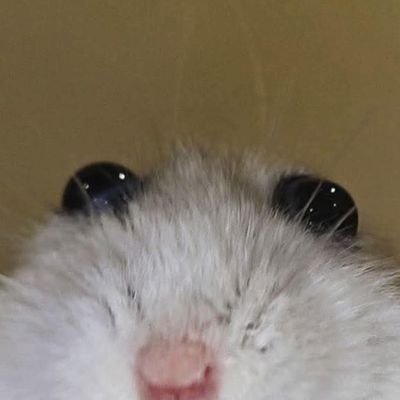 Buttgape_love's profile picture
