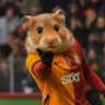 emre's profile picture