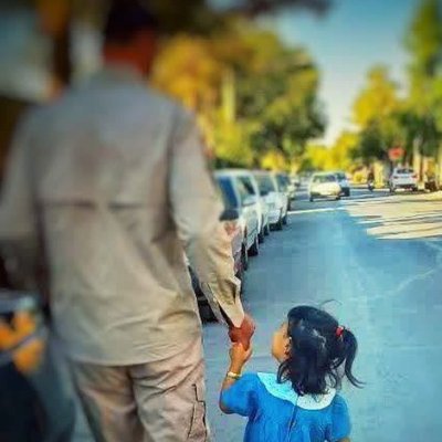 سید محمدکمیل's profile picture