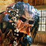 Yautja 🏴's profile picture