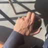 A 的头像