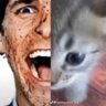 Kevin's profile picture