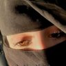 وردة اليمن's profile picture