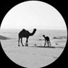 Abdulaziz 的头像