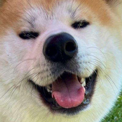 happyylemon's profile picture