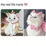 84's profile picture