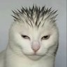 d profil fotoğrafı
