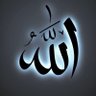 Malik Ghulam Qasim Hunjra 的头像
