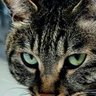 JJ profil fotoğrafı