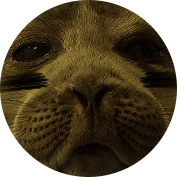 the legend of seal'zel 🦭's profile picture