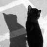 Profilbild von • 𝕯𝖊𝖐𝖆 𝕽𝖊𝖓𝖈𝖔𝖗𝖊☦️