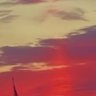 xsb_2xx's profile picture