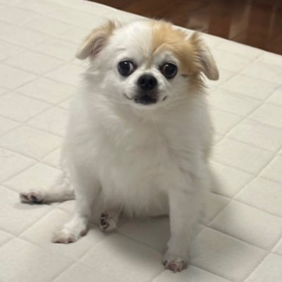 25257800nn's profile picture