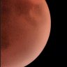 AlienFromMars's profile picture