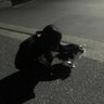 みつき profil fotoğrafı