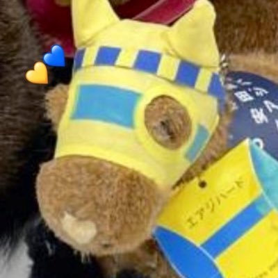 🥕sami | airji/grass 💛💙's profile picture