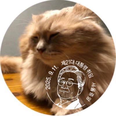 봄이왔섭's profile picture
