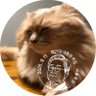 봄이왔섭 profil fotoğrafı