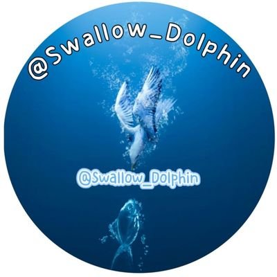 SDFQ_CP's profile picture