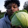 21 CABBAGE 的头像