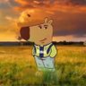 halil🇦🇷's profile picture