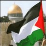 Profilbild von أم معاذ 🇵🇸🔻✌️