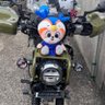 Profilbild von cc50 UberEats長崎