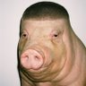 Profilbild von LeGrobalti