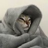 Фото профиля Meowvie