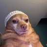 Profilbild von Jorsam