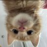 kexinnn profil fotoğrafı