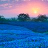 Фото профиля Denise Symonds