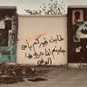 أبو هاشم الحلبي's profile picture