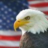 Фото профиля Ryan 🇺🇸🇺🇸🇺🇸