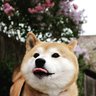 Ben's profile picture
