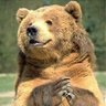 Beary Bear's profile picture