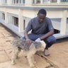 Small Doctor's profile picture