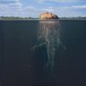 Jesus Ibarra 的头像