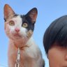 Hang Nguyen's profile picture