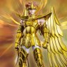Judge 的头像