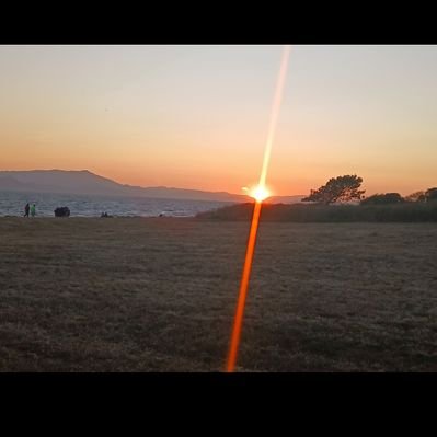 genxchas_trades's profile picture