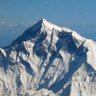 nepali's profile picture
