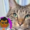 ナーニキ🐈️ (ジブニキ🛡️)🇹🇭🇻🇳🇦🇺 Naaa_Niki_Trader🐈 profil fotoğrafı